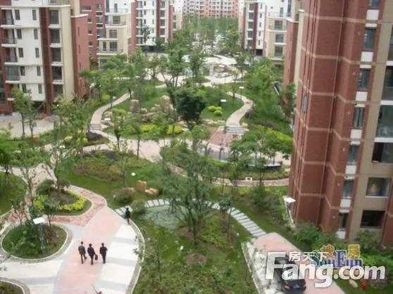 临港海滨国际花园房价