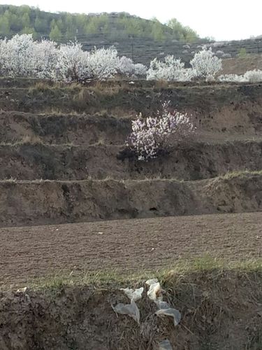 g109国道忠和最新消息