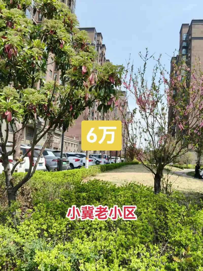 最新新乡市二手房急售