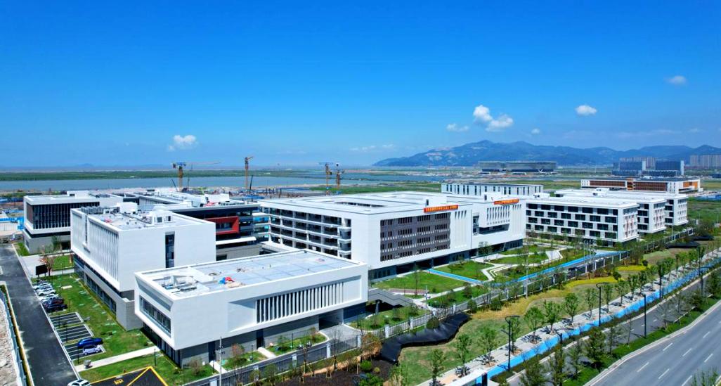 龙港批市最新消息2025