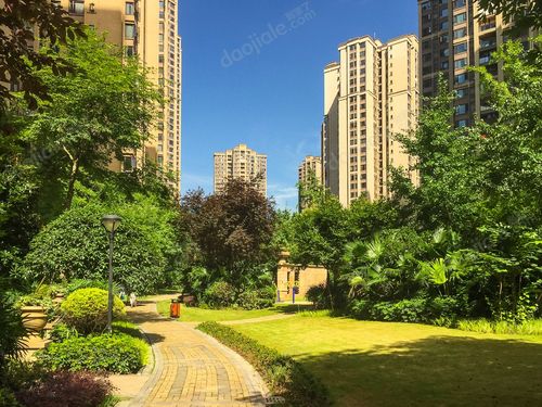 鲁能星城六街区二手房