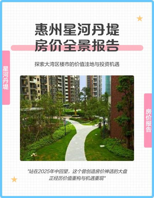 惠州星河丹堤二手房价