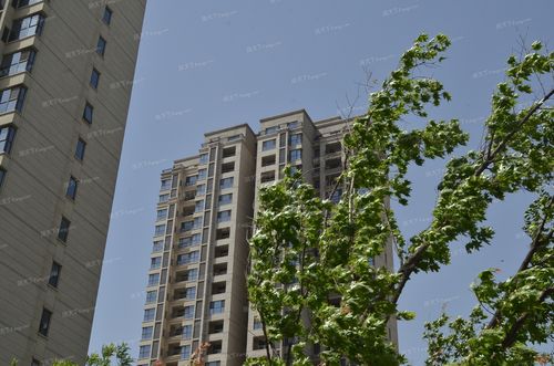 香河秀兰左岸小镇最新消息