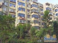 石家庄新苑小区二手房