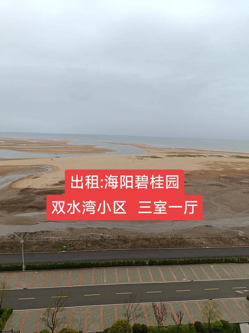 海阳碧桂园二手房出售