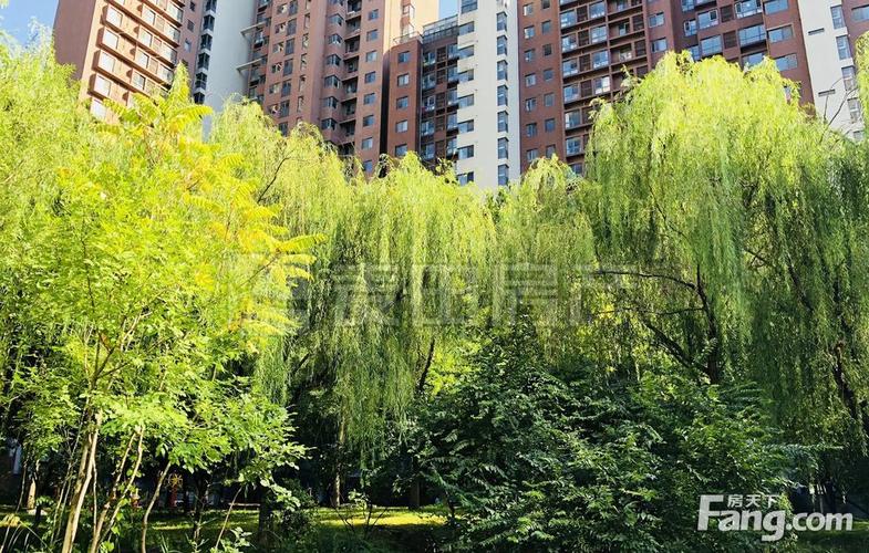 北京融科橄榄城二手房