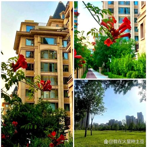 滕州大同天下最新抵账房