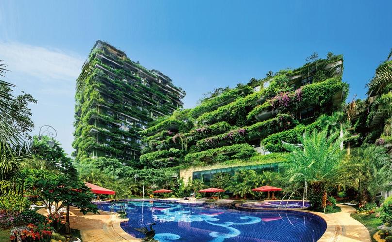 碧桂园森林城市最新进展