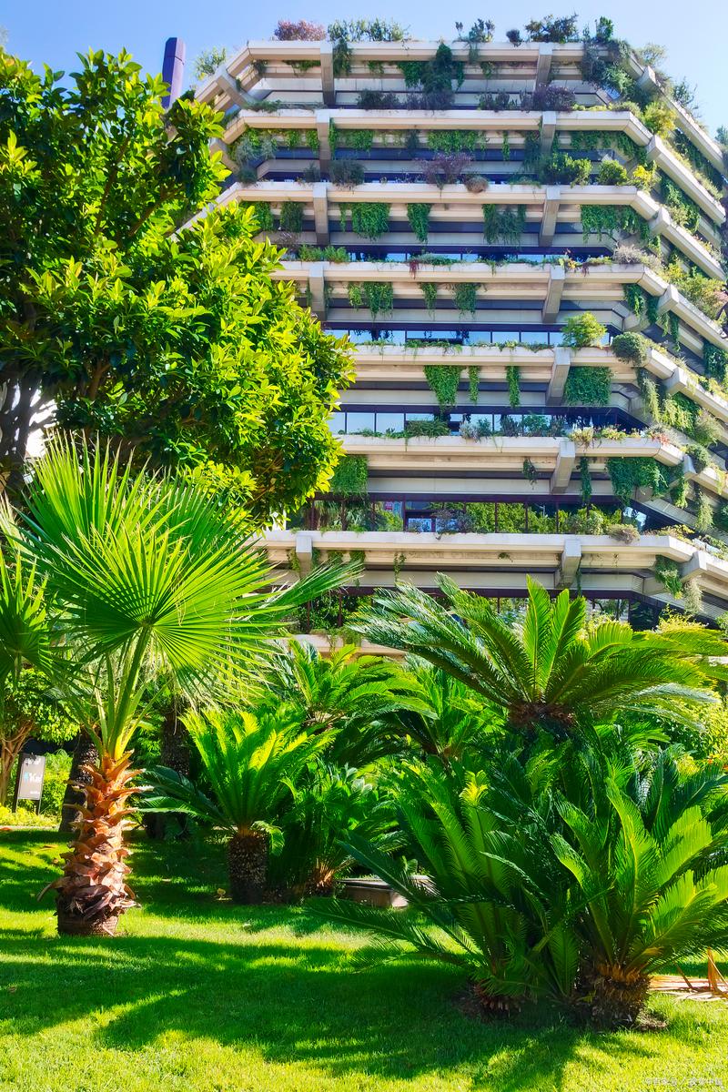 碧桂园森林城市最新进展