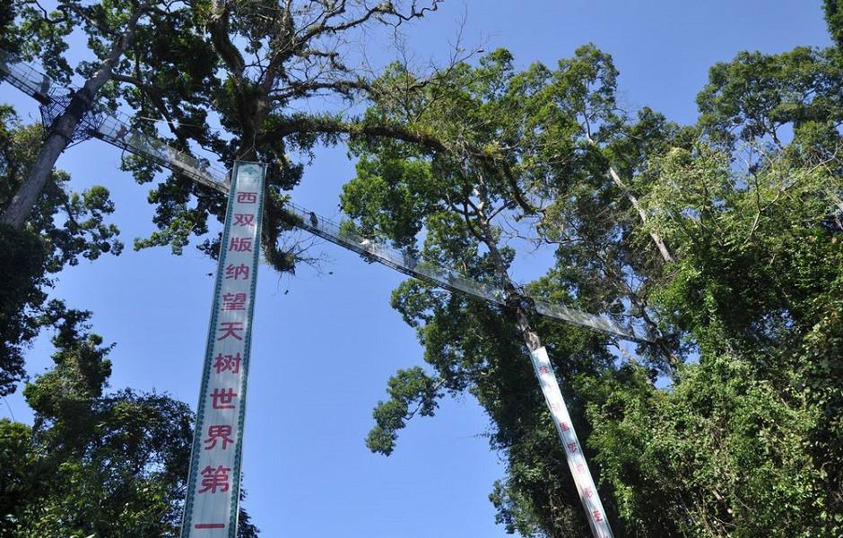 勐腊县房价多少一平