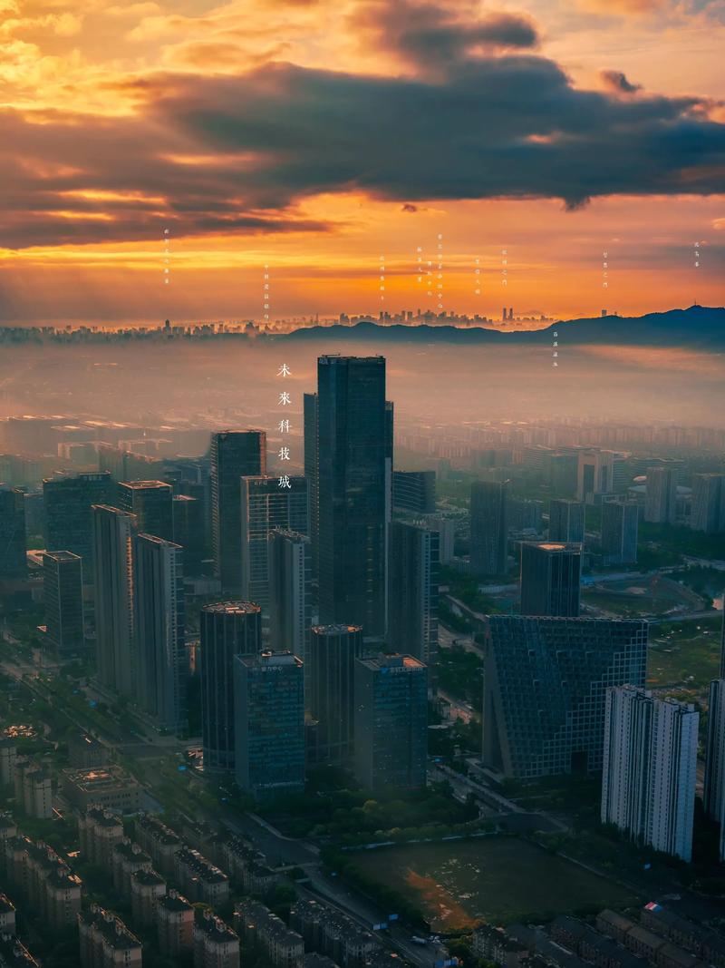 杭州未来科技城最新消息