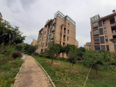 长兴紫金南苑最新房价