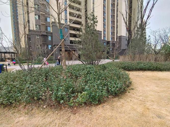 富力城八号园最新消息