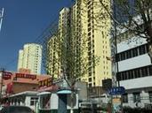 霸州金康雅居最新进展