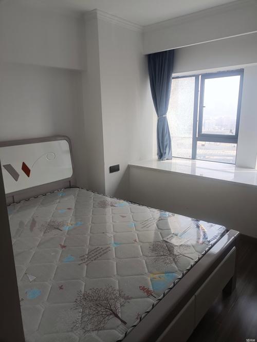 东西湖自贸城最新消息