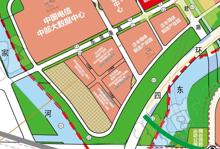 东西湖自贸城最新消息