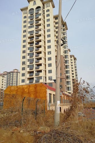 烟台青桦逸景最新消息