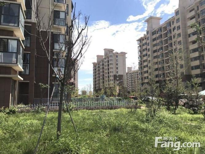 烟台青桦逸景最新消息