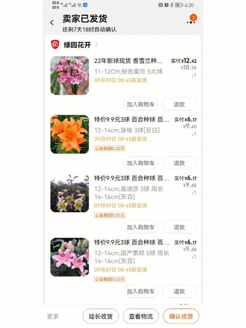 义乌九洲百合最新价格