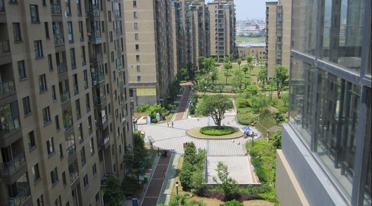 义乌九洲百合最新价格