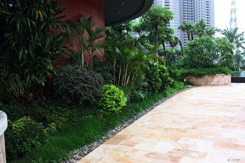 安新县大爱城最新房价