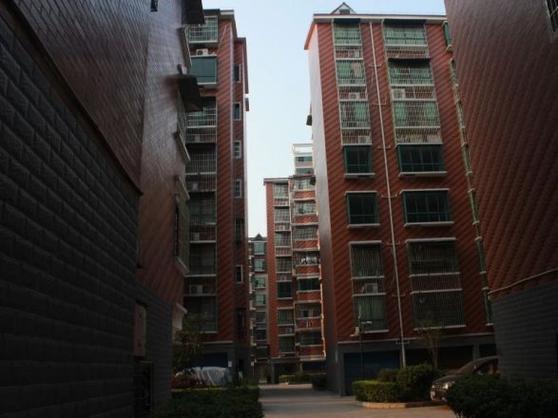 瑞安东升花苑最新消息