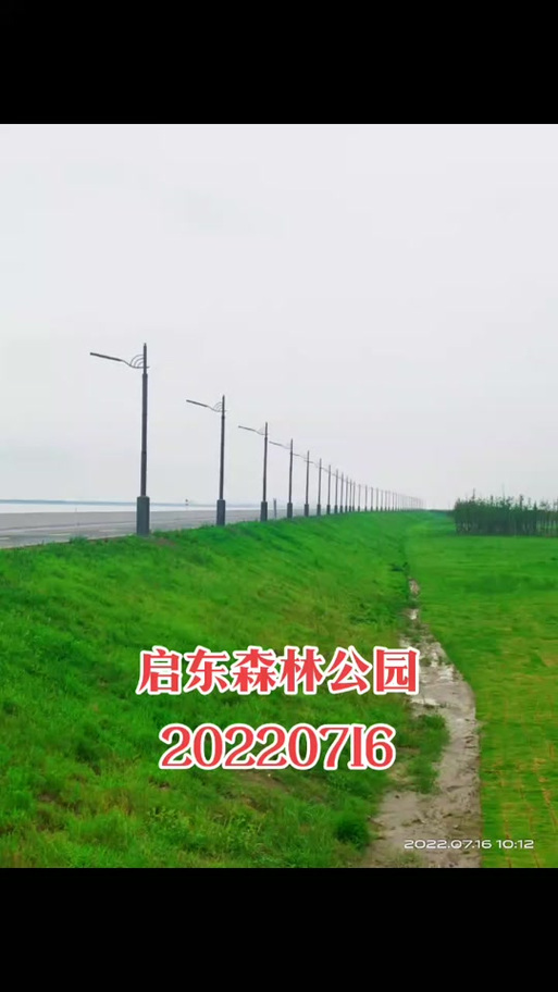启东森林公园最新消息