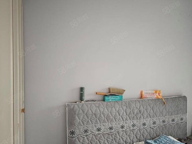 南皮最新出租房子信息