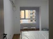 南皮最新出租房子信息