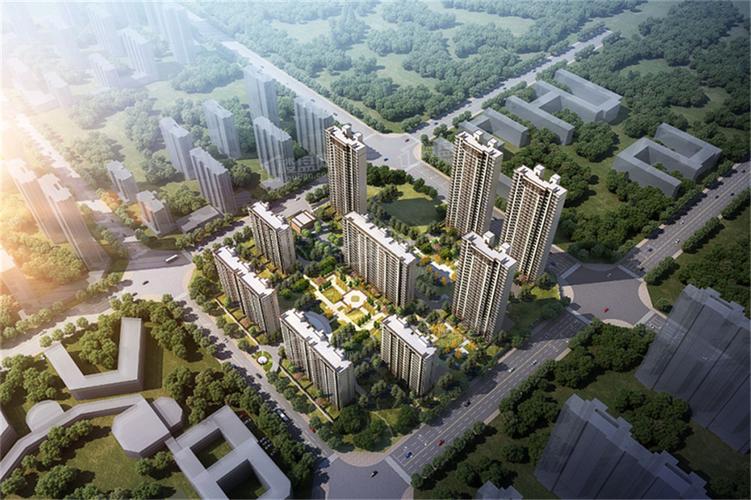 海达如意金岸最新消息