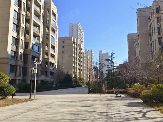 海达如意金岸最新消息