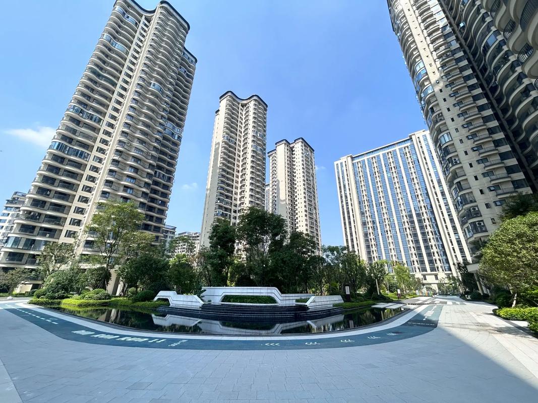 天府国际社区二手房