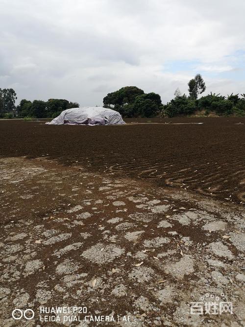 增城机场最新消息三江