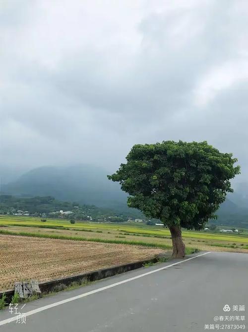 花东金谷大道最新消息