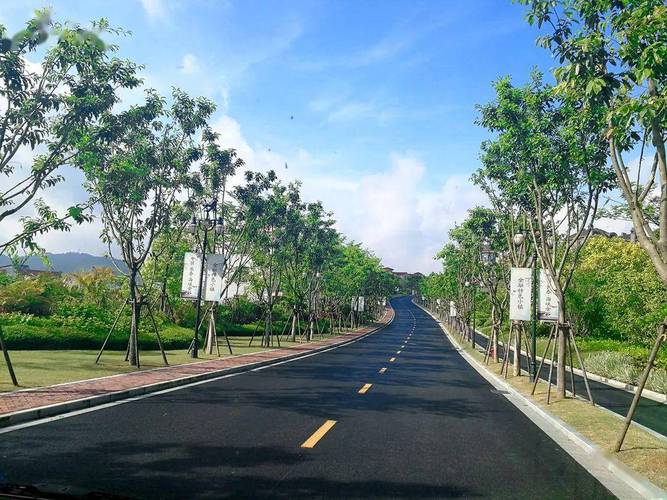 花东金谷大道最新消息