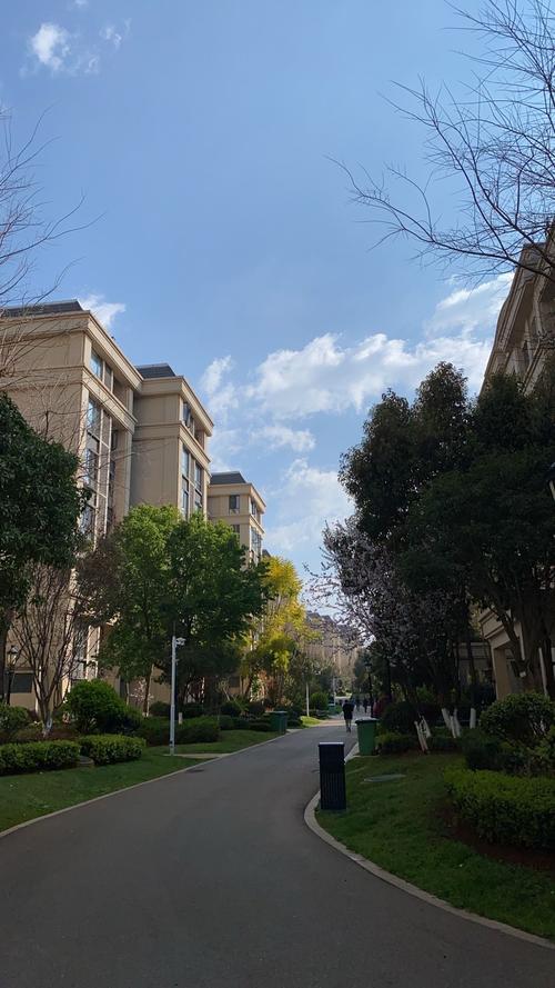 衡达丁香河畔最新消息