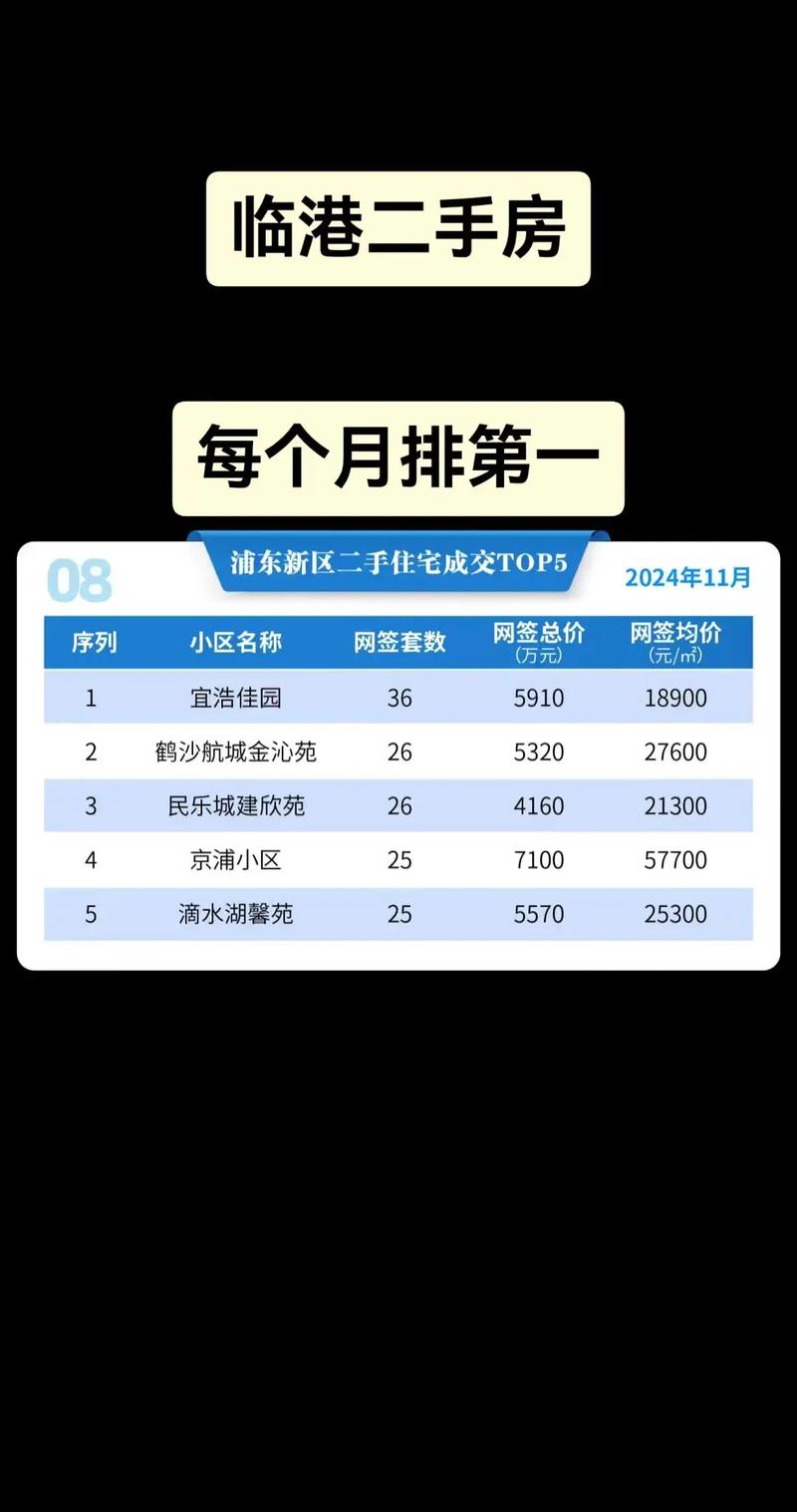 上海临港自贸区房价