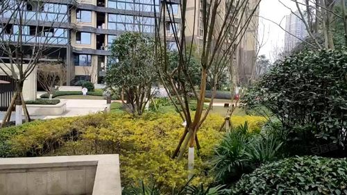 宜宾邦泰天玺最新消息