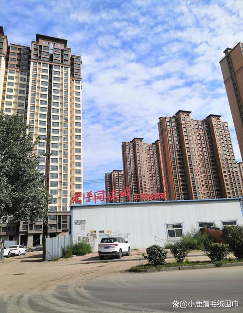 大同宏洋同煤最新消息