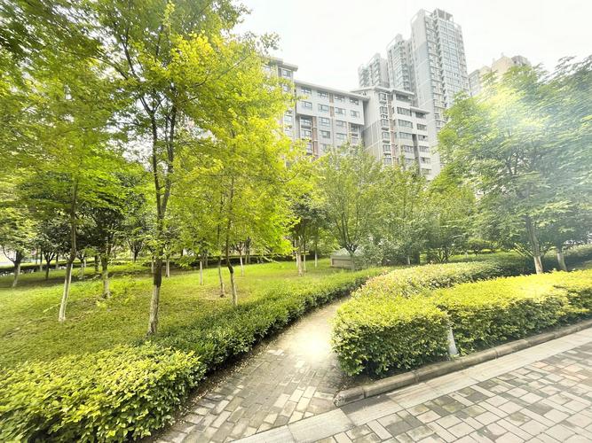 中登文景时代最新消息