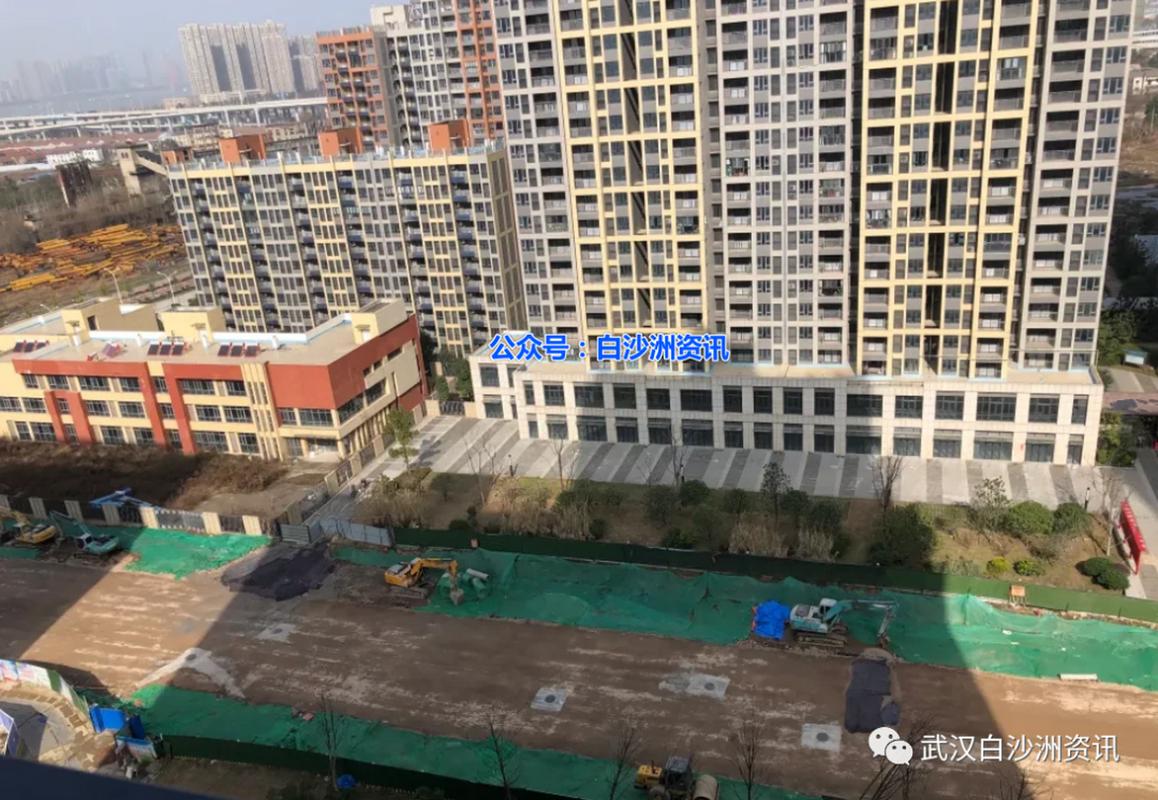 白沙洲菁英城最新消息