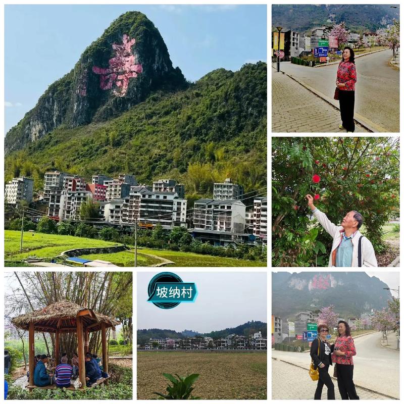 广西巴马长寿村房价