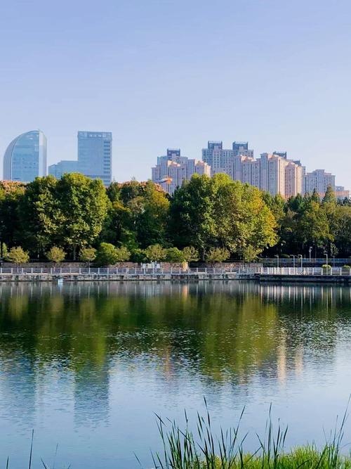 武汉后湖公园最新进展