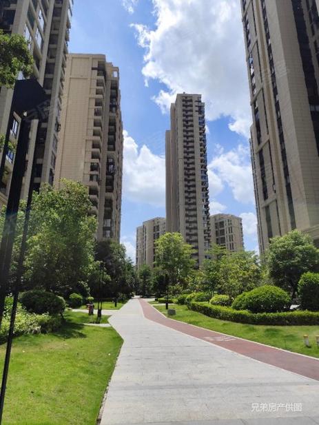 泉州洛江世茂最新消息