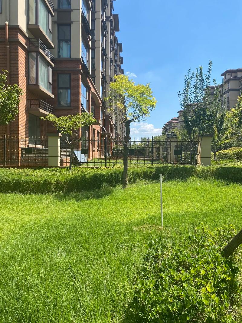 郑州最新一楼带院急售