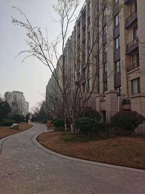 正商林语溪岸最新房价