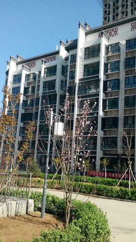 定州岸芷汀兰最新消息