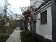 泰州凤城颐园二手房