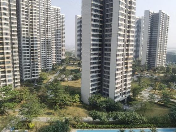 时代香海彼岸最新消息