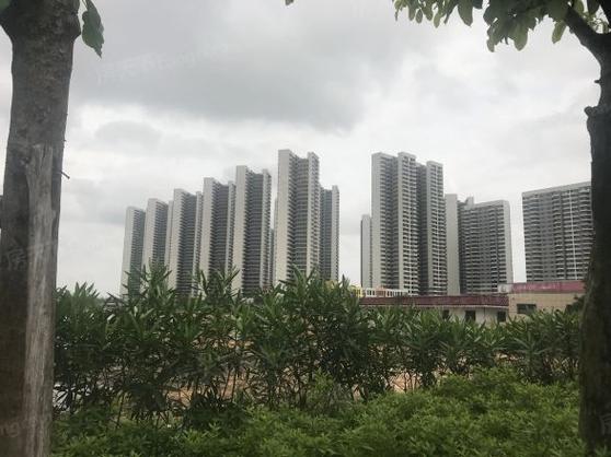 时代香海彼岸最新消息